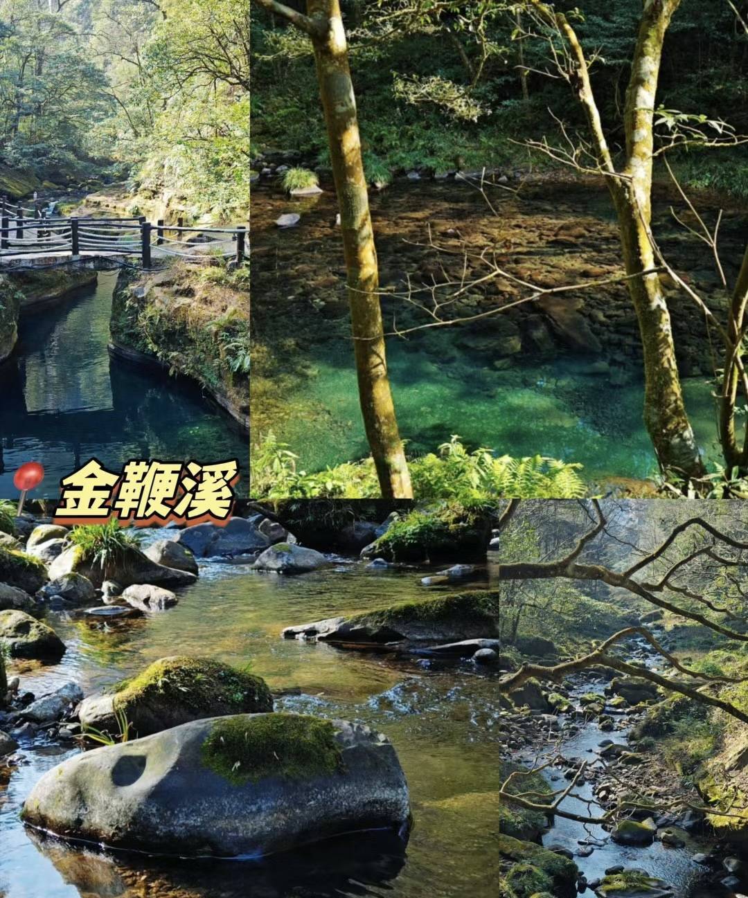 云南去张家界跟团旅游五天需要准备多少钱张家界五日游