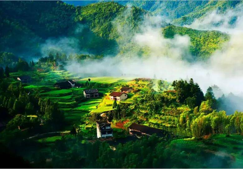 中华人民共和国农业部批准对"泰顺三杯香茶"实施农产品地理标志登记