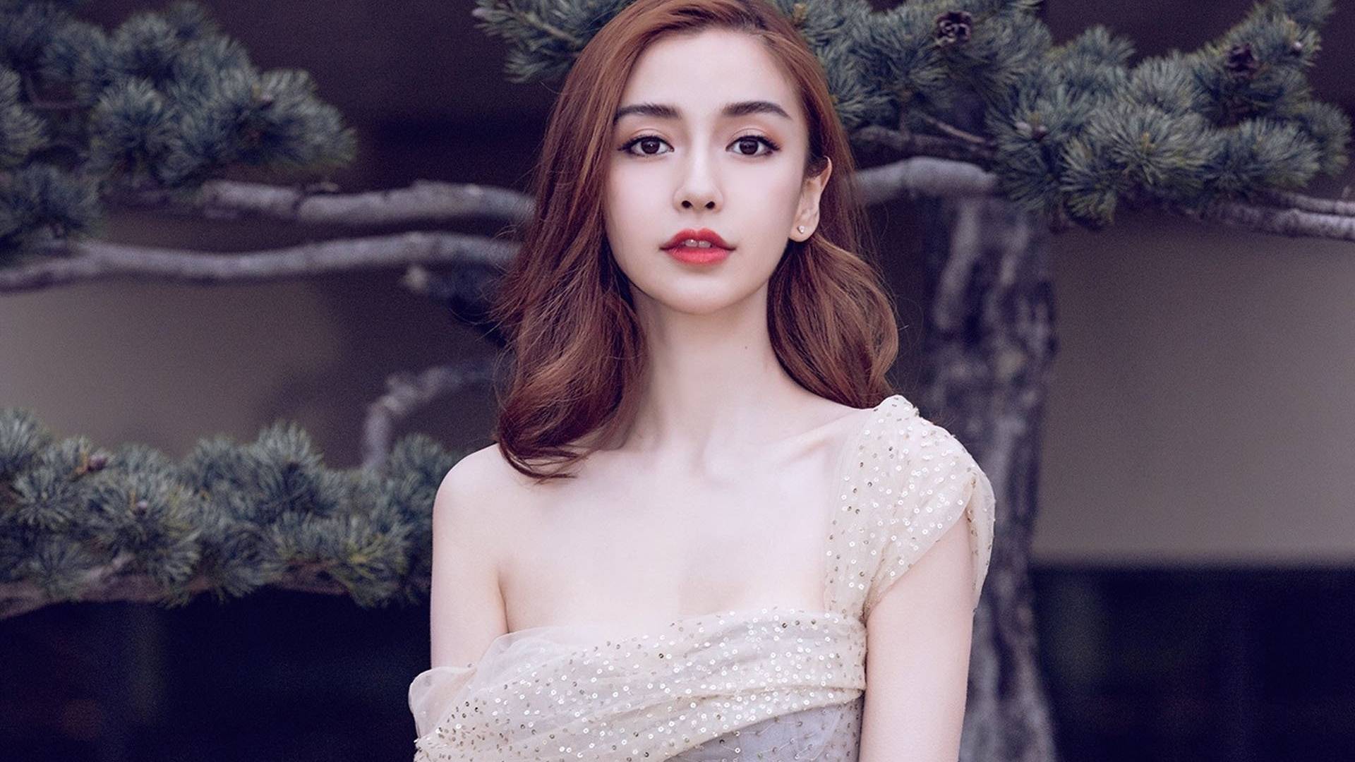 明星点评杨颖任嘉伦张元英梁朝伟侯明昊徐正溪