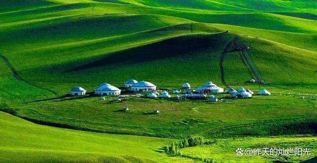 夏天内蒙古旅游纯玩五日游路线攻略在呼伦贝尔大草原放飞自我