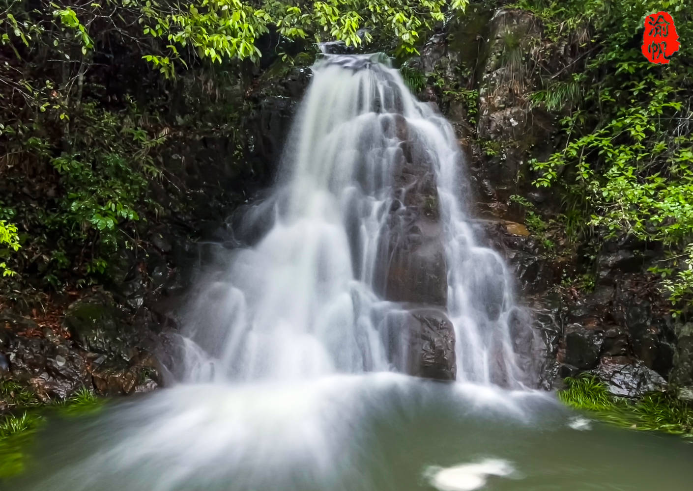 泰顺有口5a级的氡泉眼,隐藏在华东大峡谷的谷底,免费对游客开放