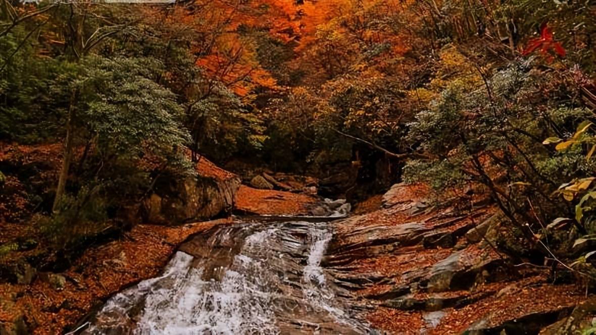 原创元好问的一首小诗仅用20个字就组成了一幅色彩斑斓的山村幽景