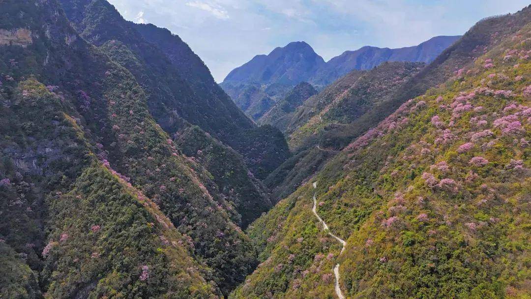 快来安康旬阳羊山