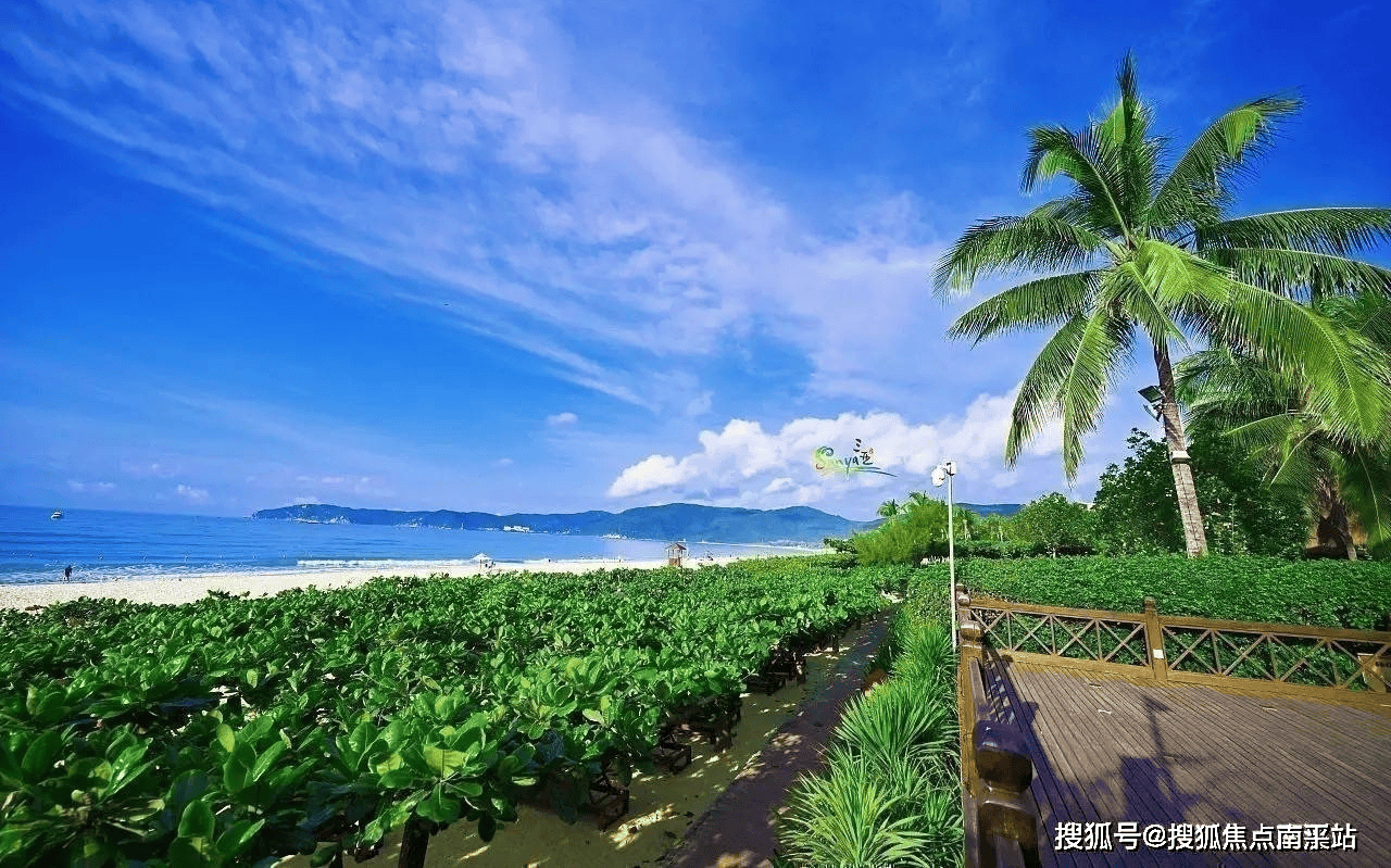 支持山海湾集团的业主朋友们,山海湾将用自己的行动,继续扛起海南养生