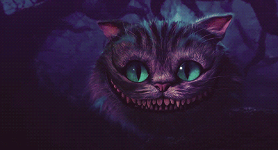 荧幕上的这些动漫明星猫,你认得出它们是什么品种吗?