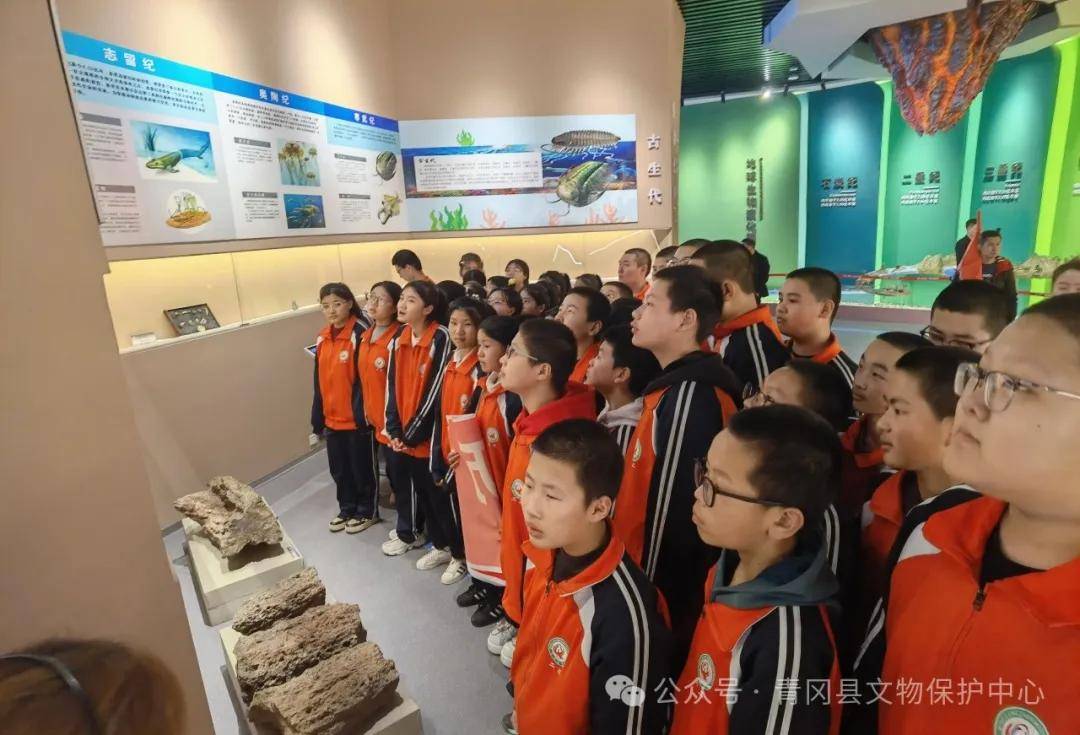 万古冰河映青冈 青中学子爱家乡_青冈县_化石_生物