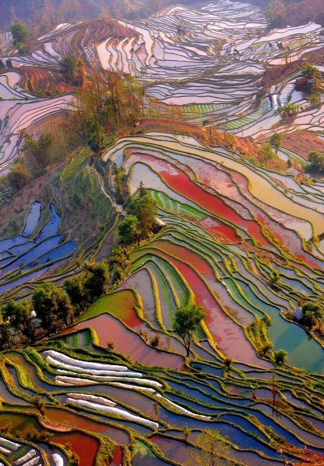 贵州去云南旅游团价格人均仅600亲身经历分享