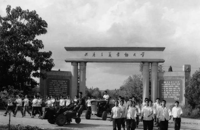 原创院士李宁贪污3410万从前途无量沦落到监狱坐牢10年让人惋惜