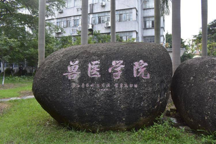 2024年华南农业大学成人高等教育考试报名指南