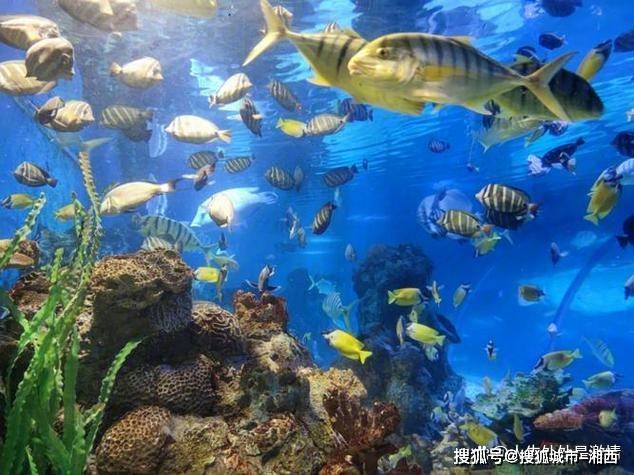 直接接住:大连定制游路线五日游规划,大连游玩5天4晚最好的路线