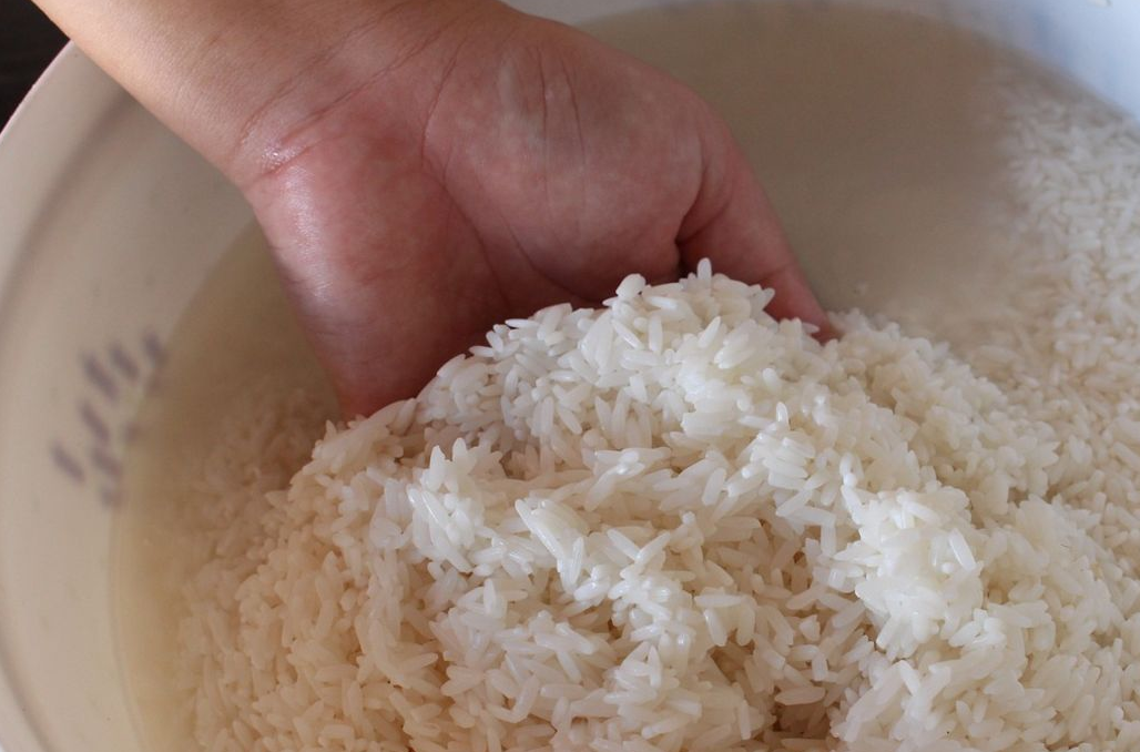 蒸米饭时在锅中加入几滴这种调味料饭粒饱满味还香