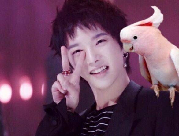 华晨宇一天内写成的歌,结果与孙悟空有关,网友:唱进心坎里