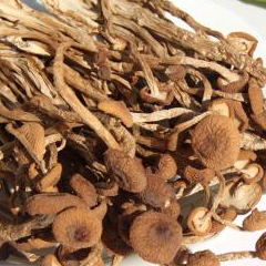 农村的这5种野味才够鲜,城里人有钱都吃不到哦,你吃过