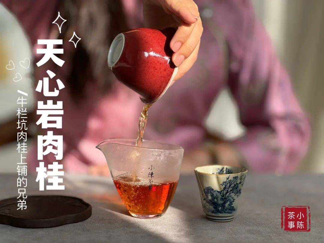 《4》而这一切,外行从茶叶的外观上,是根本看不出来的.