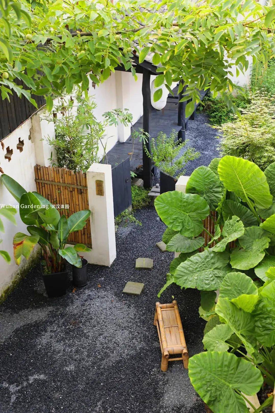 拯救阴暗角落:推荐这些耐阴植物让你的庭院告别光照困扰!