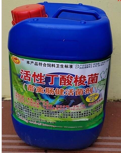 丁酸梭菌在雏鸡养殖中的应用:降低氨气,减少疾病,提高成活率