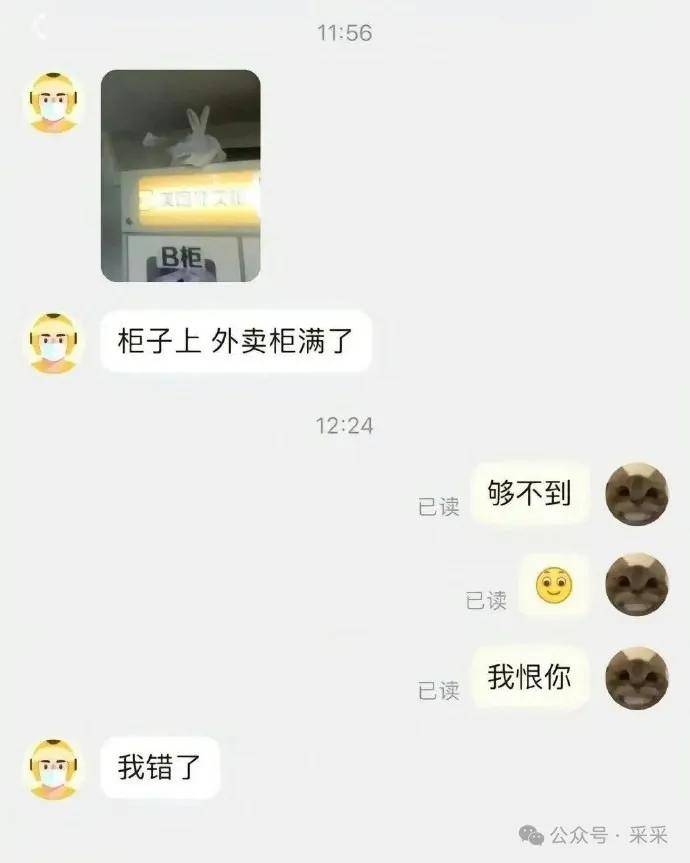 ▼伏黛cp 冷门但世人皆知的c