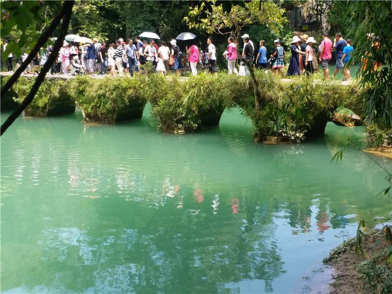 带老人小孩去贵州旅游5天怎么玩更好?