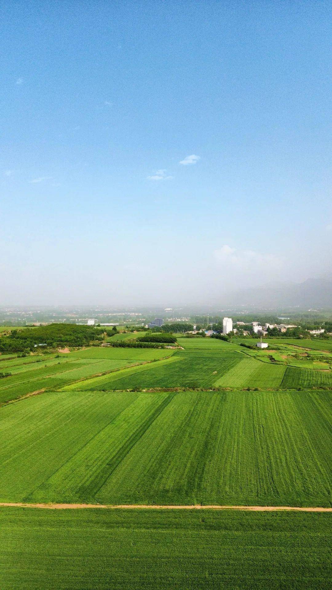 西安秦岭山脚下的治愈系风景,中江兆村的万亩麦田仿佛童话世界