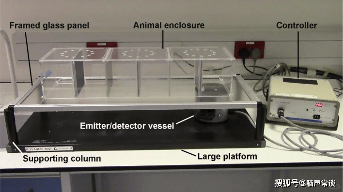然后,根据实验需要设置红外强度,并将红外发射器/探测器放置在容器上