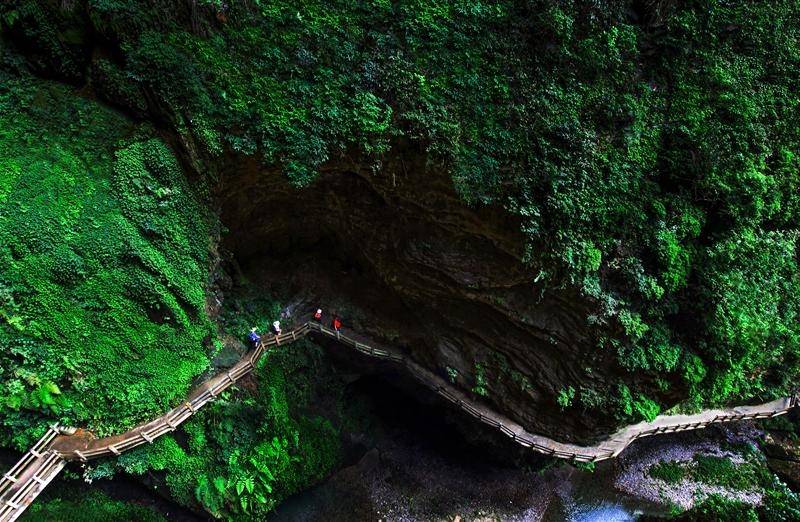 五一去重庆李子坝武隆仙女山旅游4天旅行攻略和行程规划,超详细实用