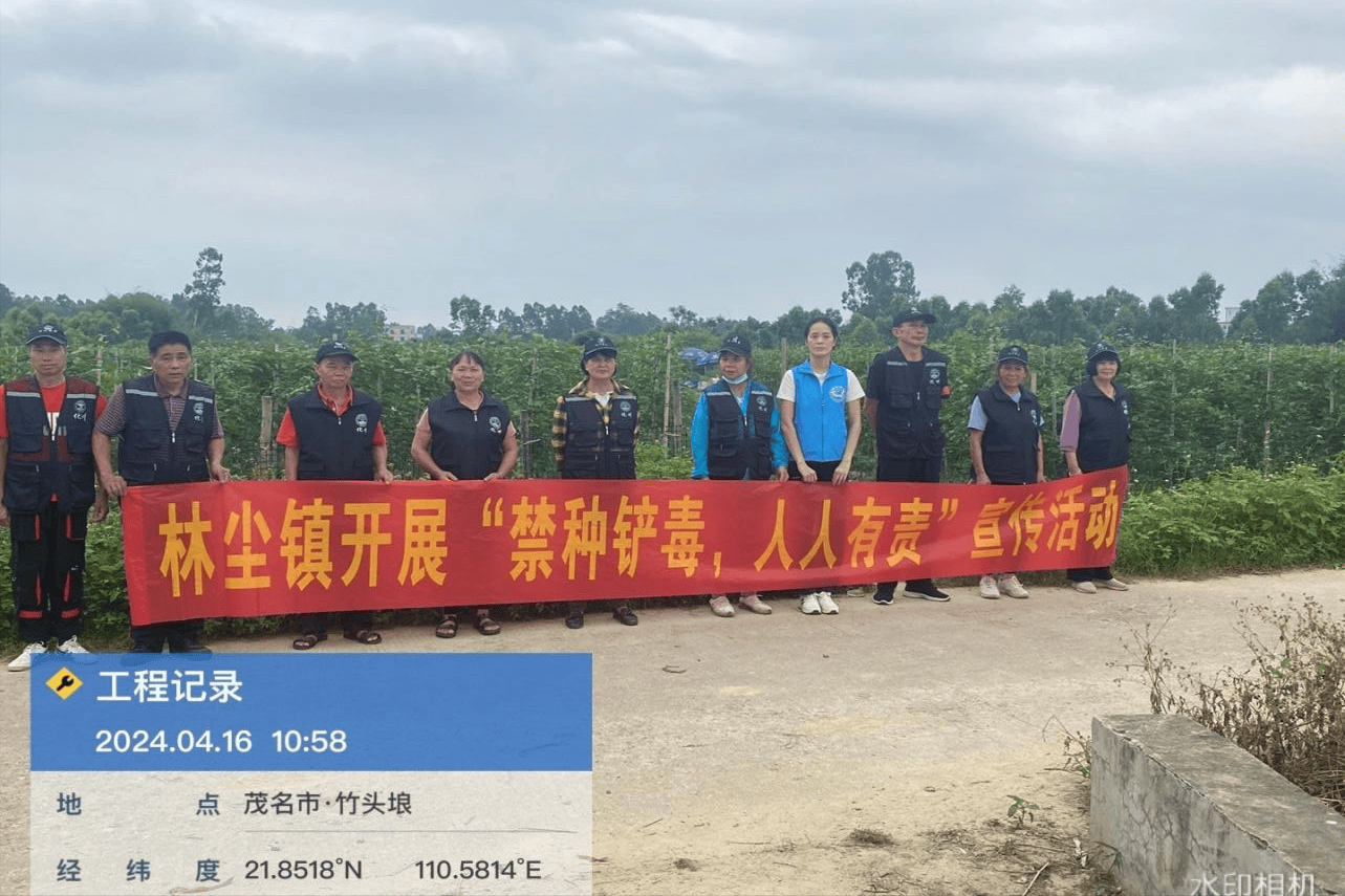 化州市林尘镇开展"绿美林尘·禁种铲毒"活动