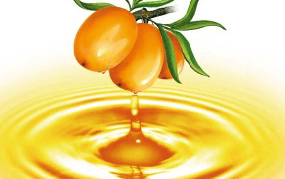 棘小白沙棘原浆是不是最好的,自然之味尽在其中_人们_果实_品质