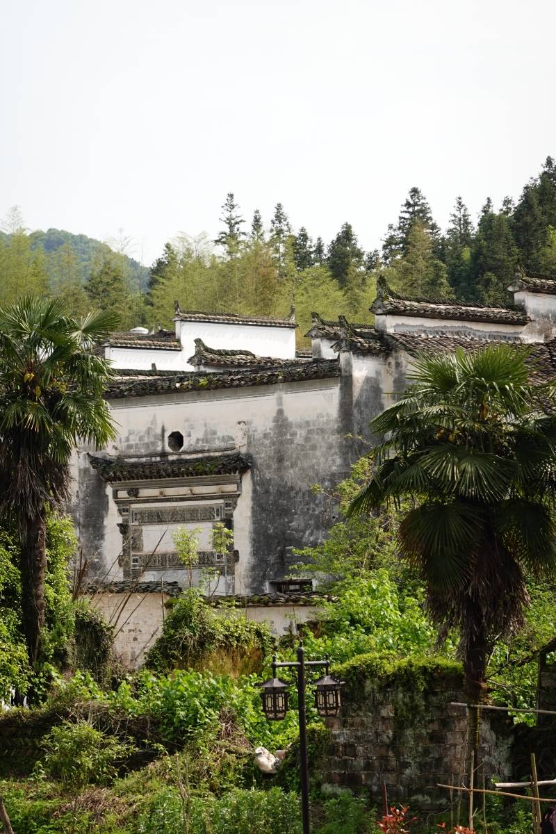 江西蜜月旅游景点推荐:浪漫之旅,共赴江西山水间