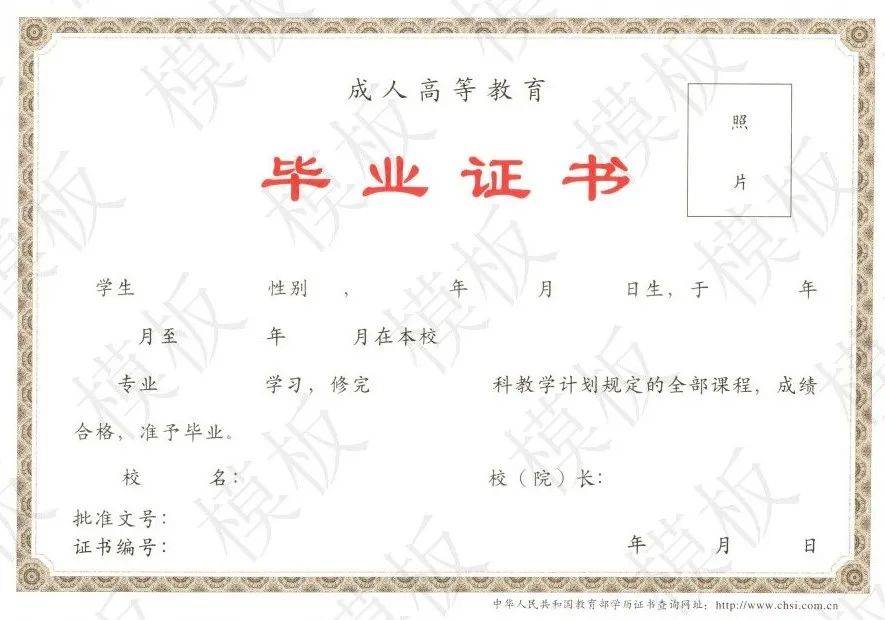 06,证书模板④ 教 育 学 类:政治,英语,教育理论.