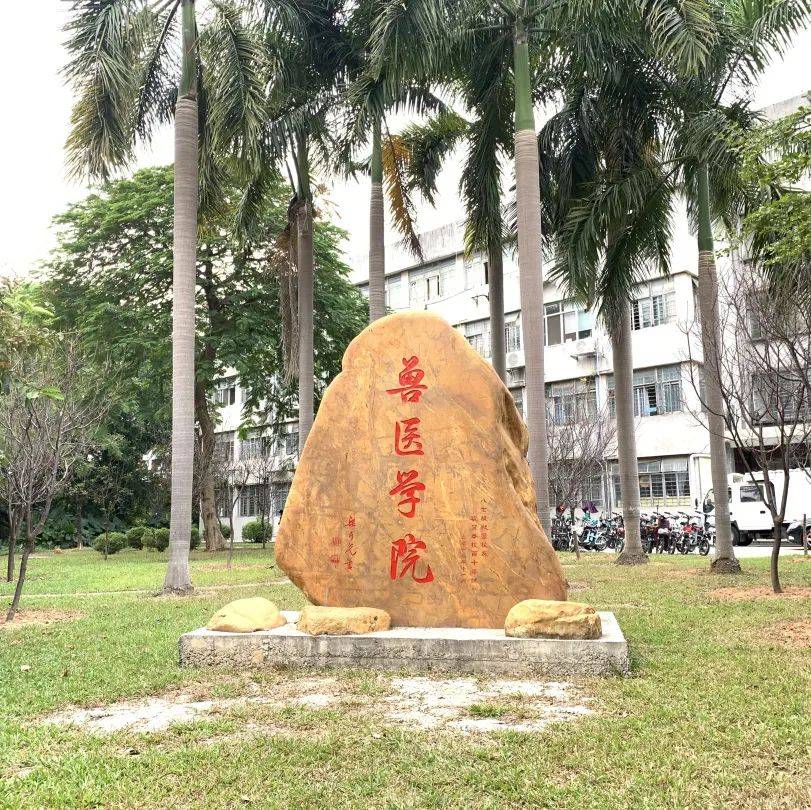 华南农业大学成人高考动物医学招生简章_执业_专业_
