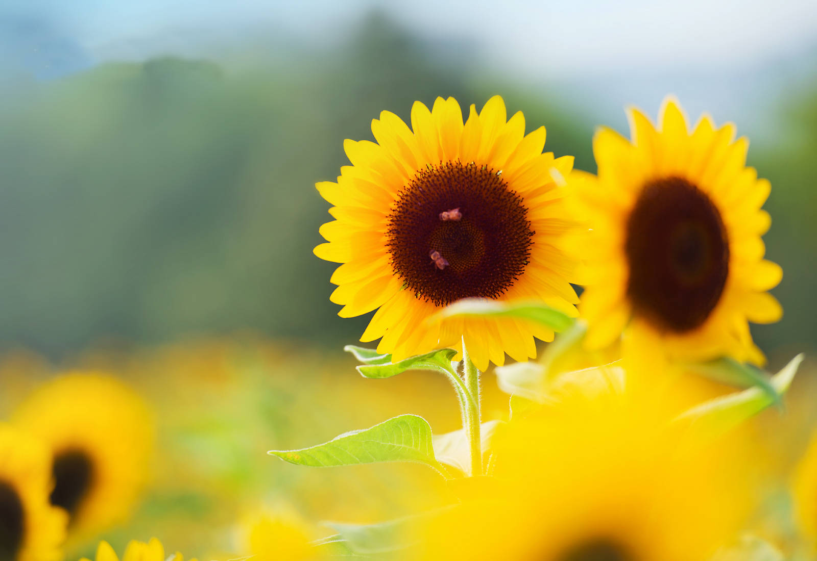 如何提升自己的运气,怎样才能让自己的运气好起来