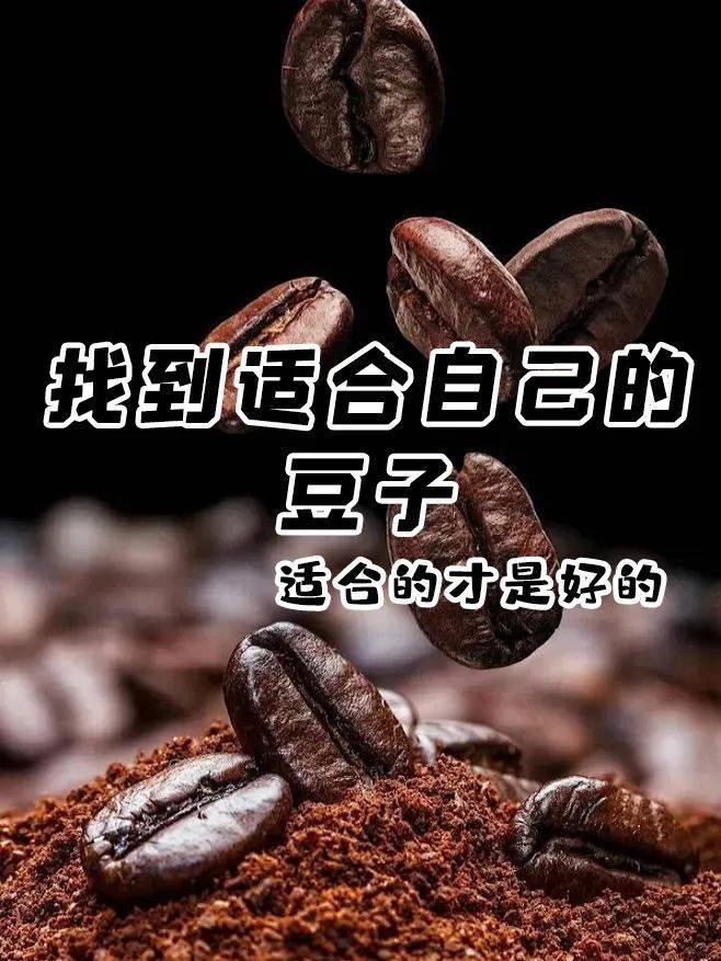 【咖啡选豆指南】找到适合自己的豆子,适合的才是好的
