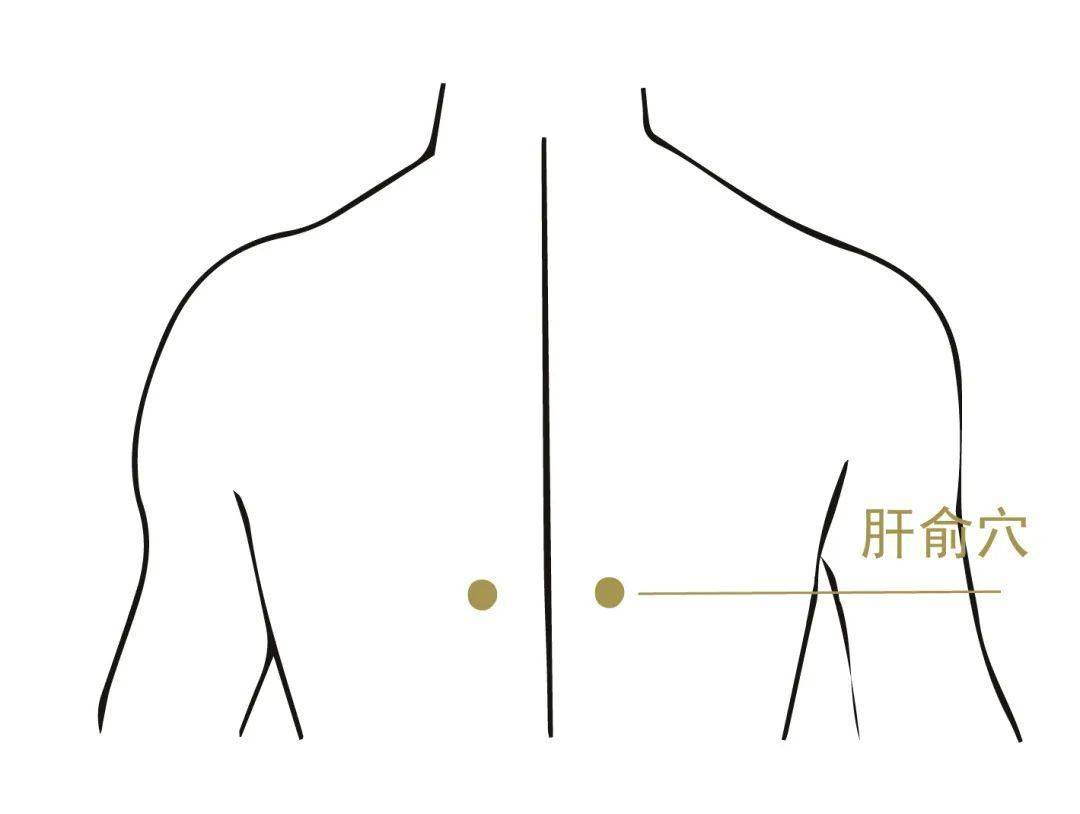 肝胆排毒刮痧部位图片