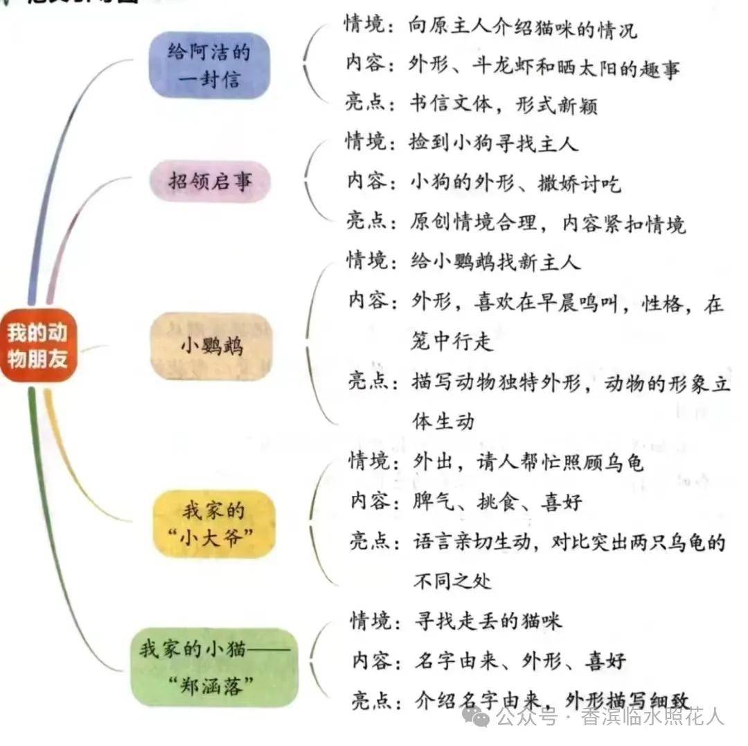 思维导图画作文