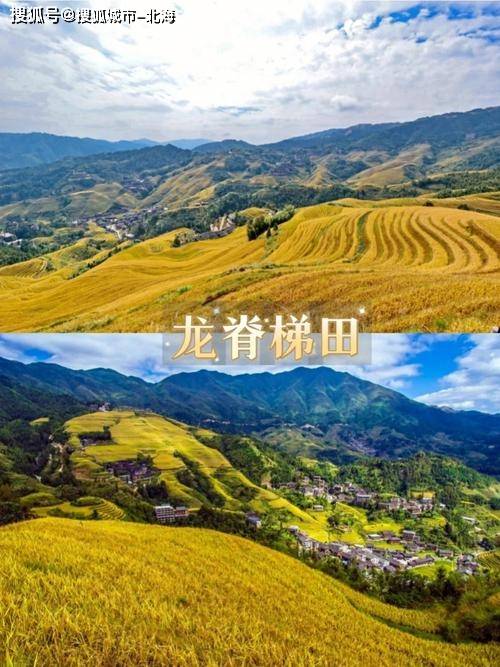 带家人去桂林怎么玩?桂林阳朔5日游攻略及花费分享