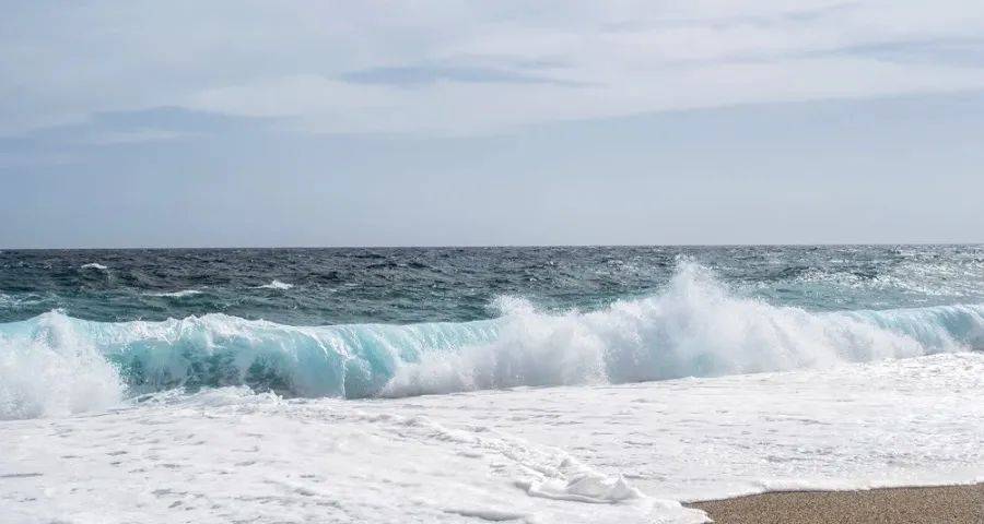 这些年来小家电一直没有技术门槛-家电圈官网