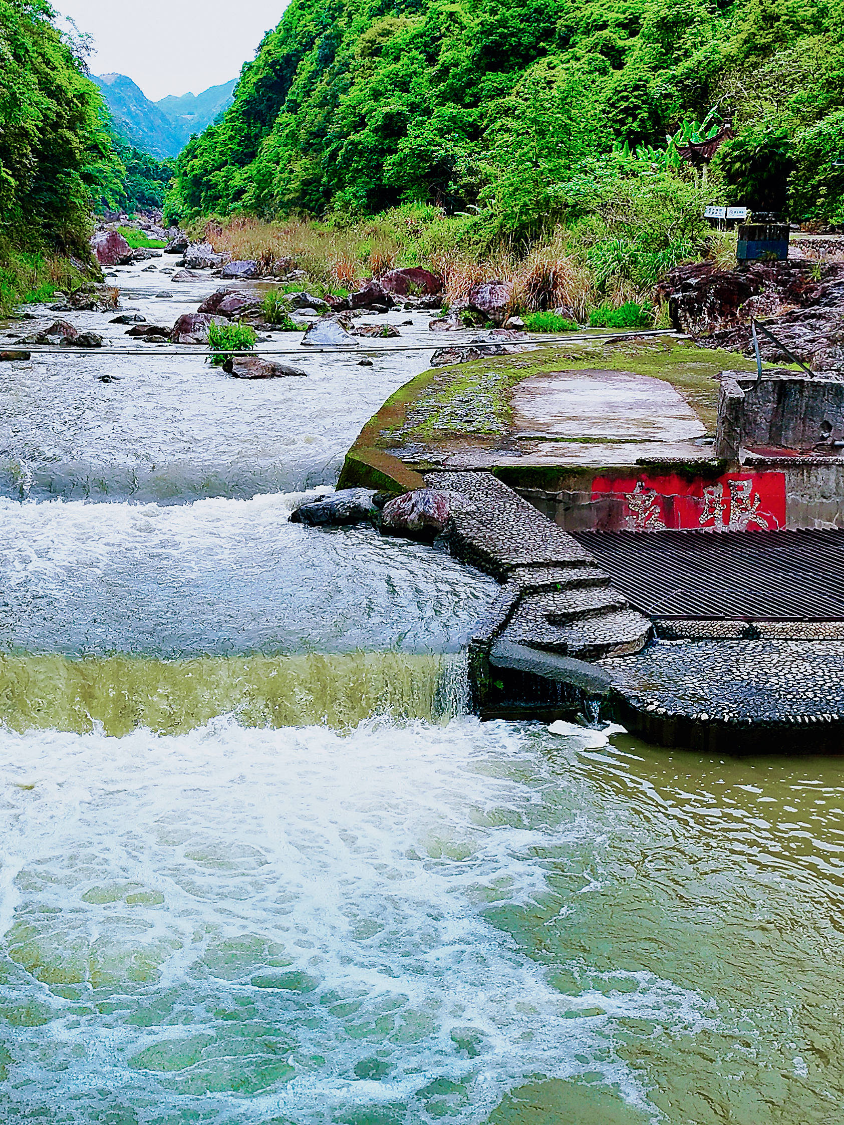 探寻隐藏在峡谷深处的氡泉泉眼,温州泰顺,居然有这样的小众秘境