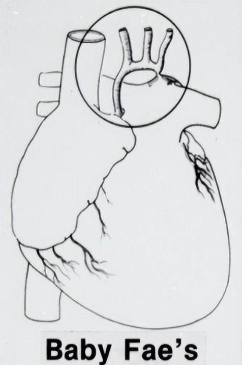 简笔画 手绘 线稿 476_717 竖版 竖屏