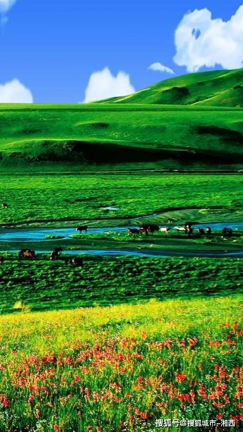 全天畅玩沙漠day4:希拉穆仁草原-呼和浩特day3:准格尔旗-希拉穆仁草原