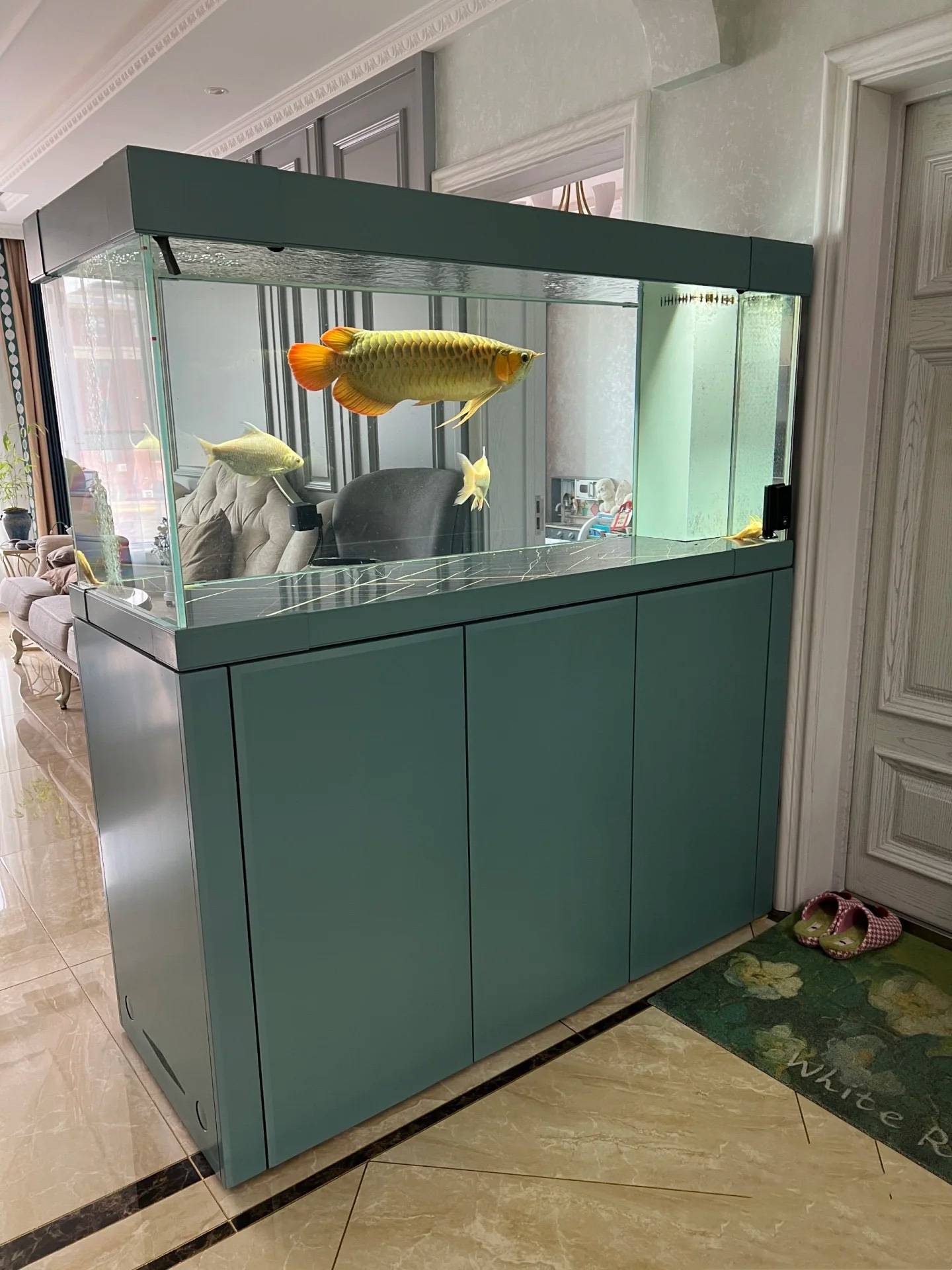 五贝(彭飞)带你揭秘鱼缸风水_家庭_文化_影响