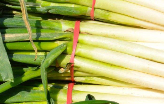 为什么北方人喜欢吃大葱?因为这些好处,只有他们自己知道!