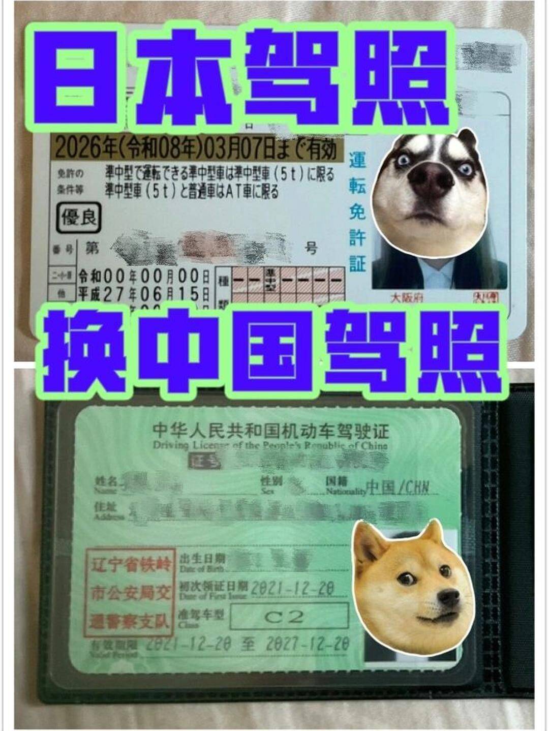 日本驾照中文书籍 日本驾照中文书籍