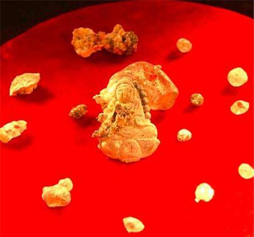 为何高僧火化后会出现舍利子,而普通人却没有?如今才知其中奥秘