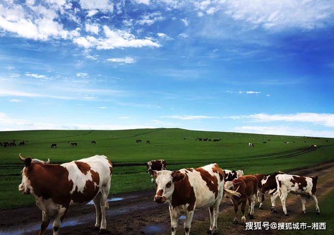 内蒙古五天旅游团大约价格_草原_蒙古族_希拉