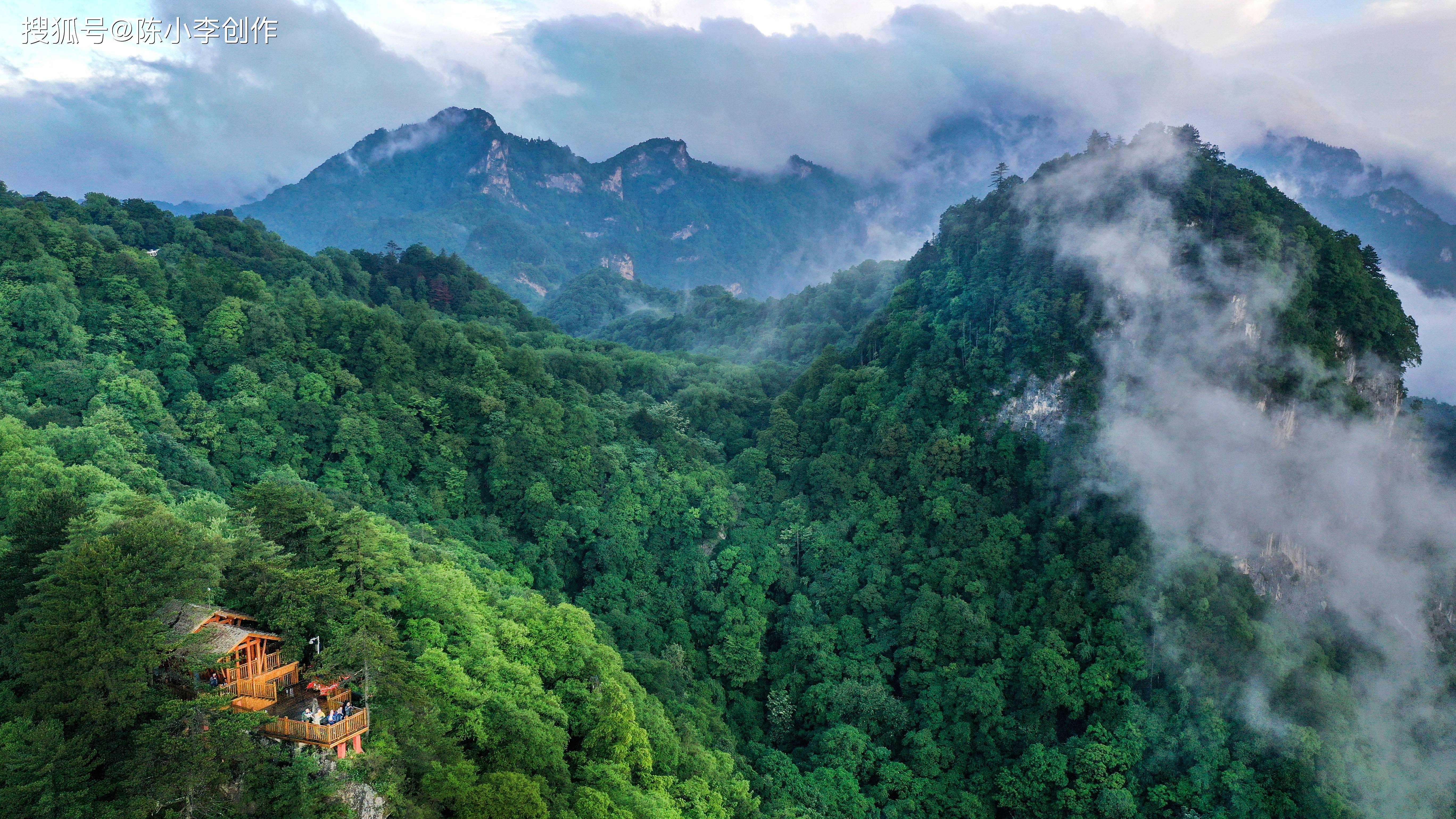 麦秀国家森林公园:青海三江源的绿色宝藏,私藏的绝美风光!