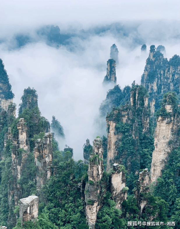 张家界旅游3天2晚跟团价格攻略,张家界大峡谷三日亲子游多少钱?
