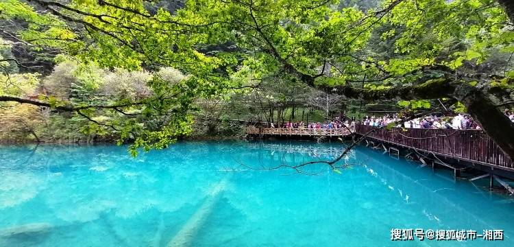 >诺日朗瀑布>犀牛海>树正瀑布>树正群海>双龙海>芦苇海>盆景滩750_360