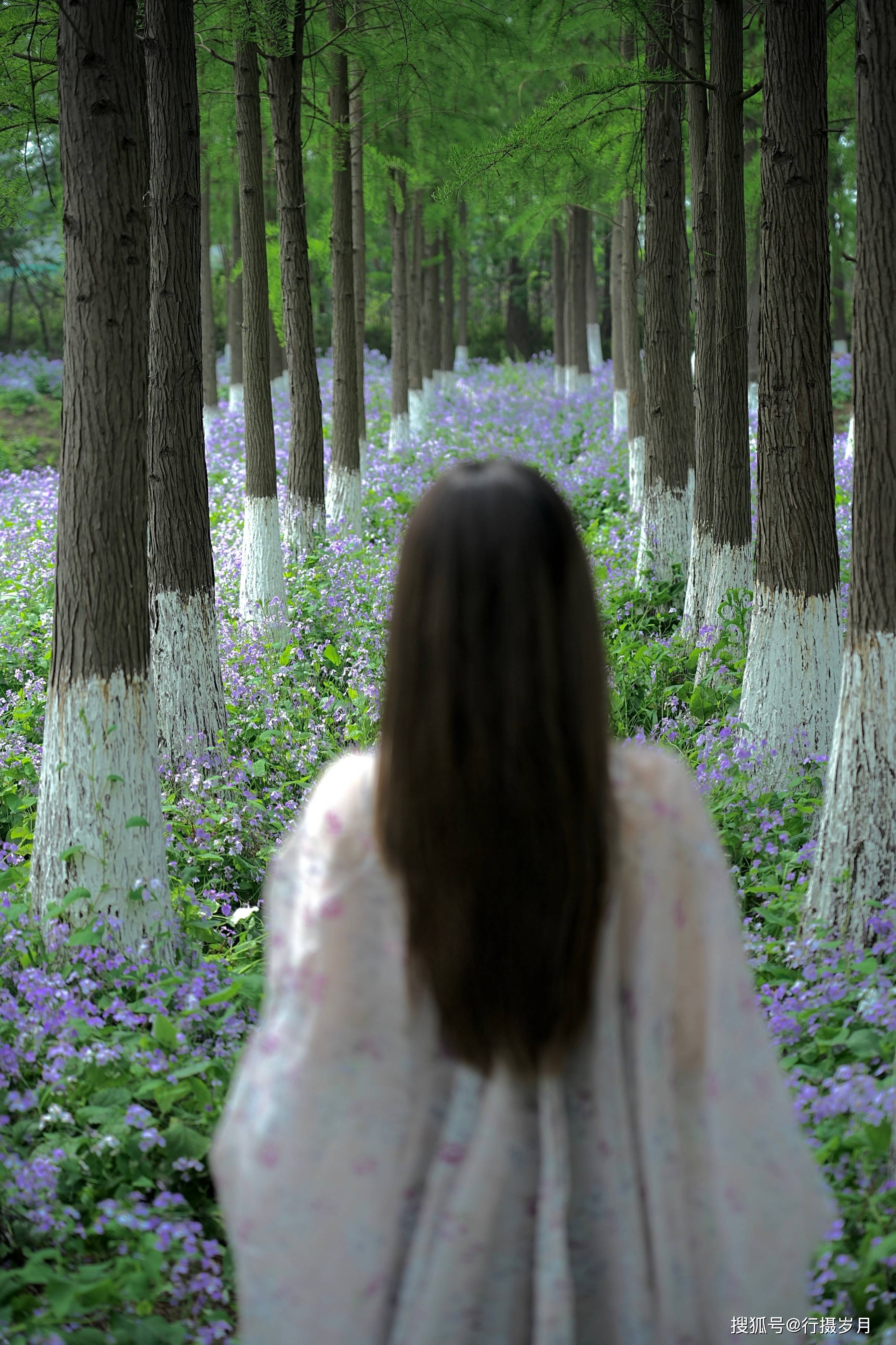 《红尘相思,情深缘浅》