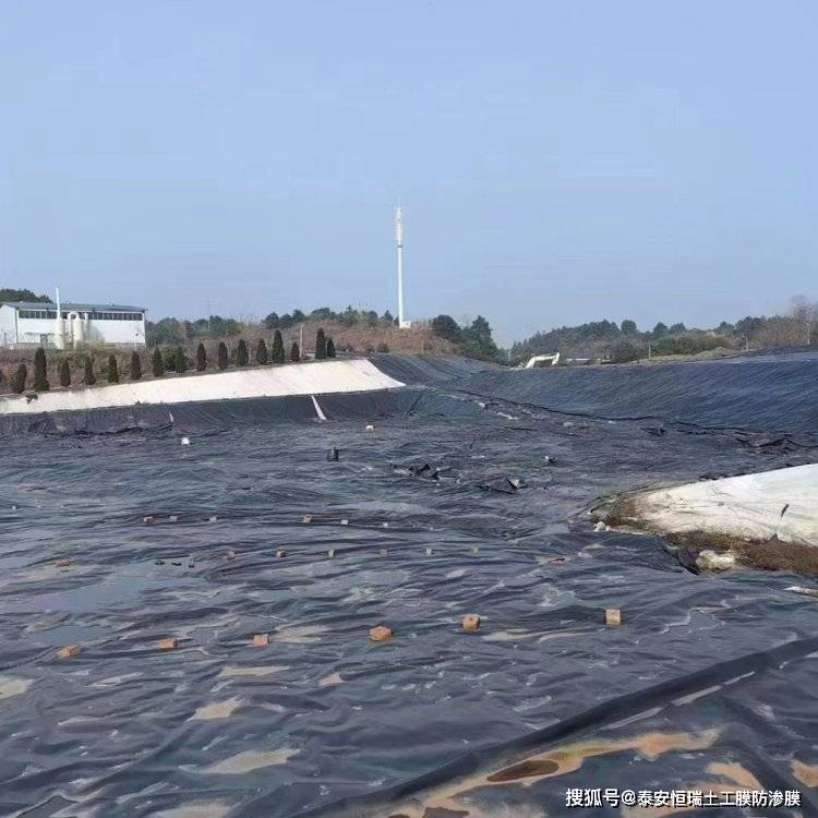 水库堤坝鱼塘养殖膜 蓄水池黑色土工膜
