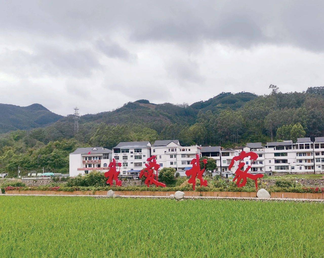 讲好乡村振兴故事(二)| 系列报道77外碧村的"农文旅"元素